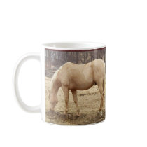 Weidend Paard Palomino