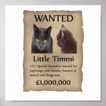 Weinig Timmi gewilde affiche Afdruk