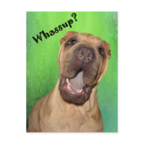 Whassup?