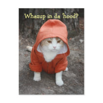 Whazup in DA 'kap?