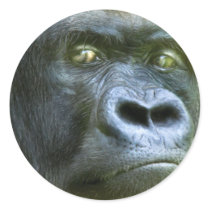 Wilde Ogen - de Sticker van de Kunst Silverback