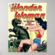 Wonder de Grappige Dekking van de Vrouw Print