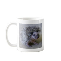 Zittende mooie egel
