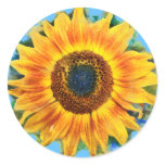 Zonnebloem Stickers