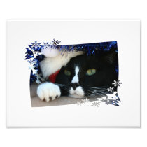 Zwart-witte kat, santahoed, klatergoud en een poot fotoafdruk