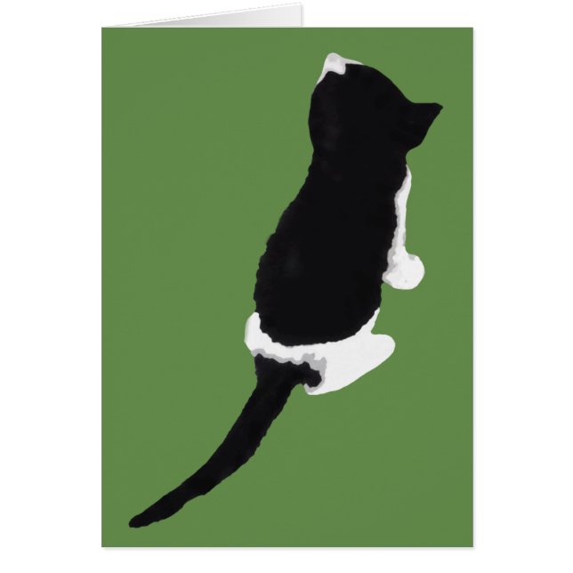 Μξ α / Myxa (een kitten uit Zakynthos) (Voorkant)