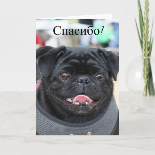 Спасибо Russische Pug Dog Dank u kaart (Voorkant)