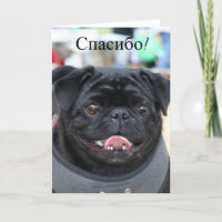 Спасибо Russische Pug Dog Dank u kaart