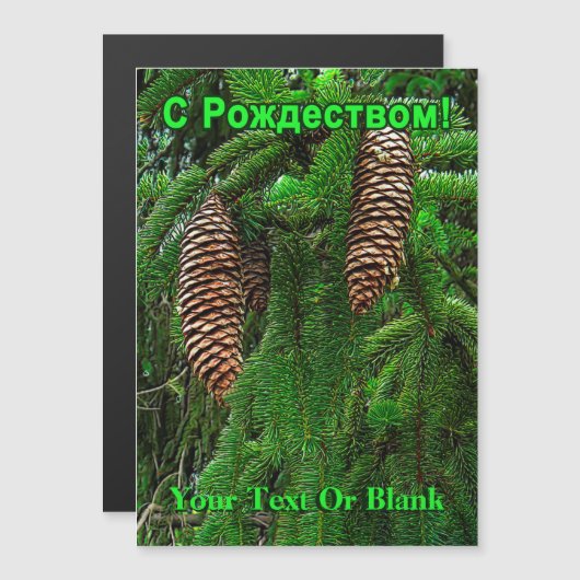 С Р д е  - о - naalden en naalden (Voorkant / Achterkant)