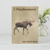 С Р д е op oude ж - Bull Moose op oud papier (Staand voorkant)