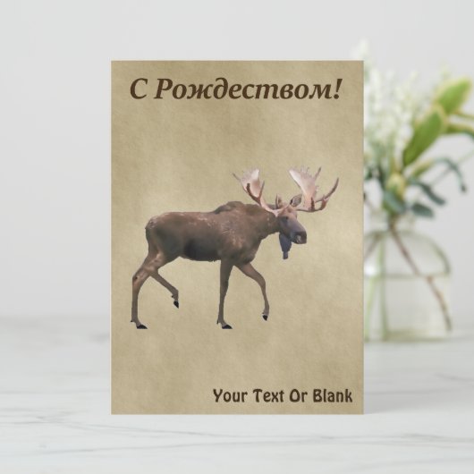 С Р д е op oude ж - Bull Moose op oud papier (Staand voorkant)