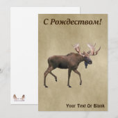 С Р д е op oude ж - Bull Moose op oud papier (Voorkant / Achterkant)