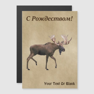 С Р д е  op oude ж - Bull Moose op oud papier