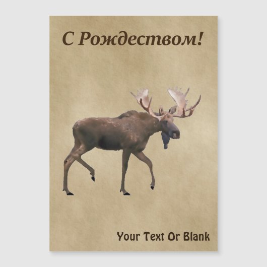 С Р д е  op oude ж - Bull Moose op oud papier (Voorkant)