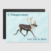 С Р д е  ,  ,  ,  ,  op sneeuw (Voorkant / Achterkant)