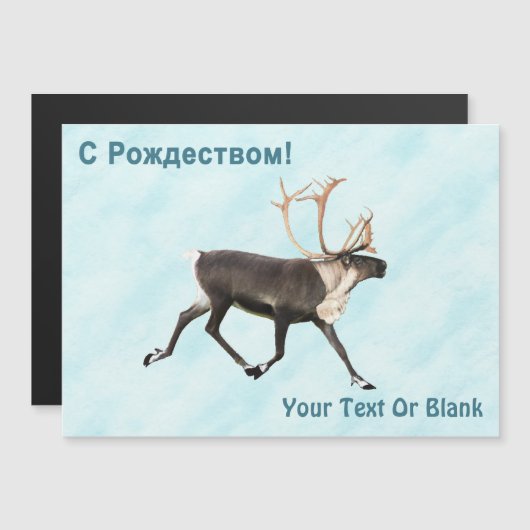 С Р д е  ,  ,  ,  ,  op sneeuw (Voorkant / Achterkant)