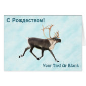 С Р д е  ,  ,  ,  ,  op sneeuw (Voorkant Horizontaal)