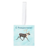 С Р д е , , , , op sneeuw Decoratie (Voorkant)