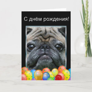 С д м р   kaart