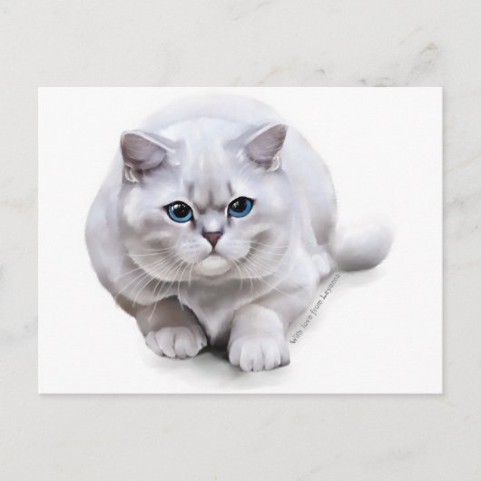 С bij het ras British Shorthair Briefkaart (Voorkant)