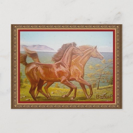 л о op н, адши briefkaart (Voorkant)