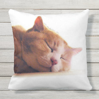 うちのかわいこちゃんのクッション BUITENKUSSEN