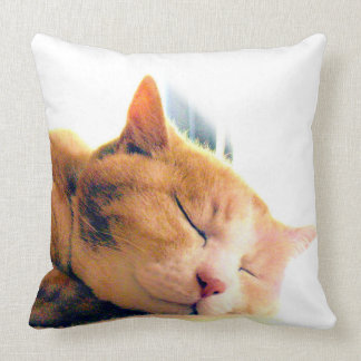 うちのかわいこちゃんのクッション KUSSEN