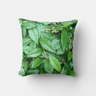 しっとり濡れた緑クッション KUSSEN