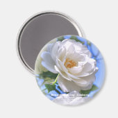 つ る イ ス バ  MAGNEET (Voorkant / Achterkant)