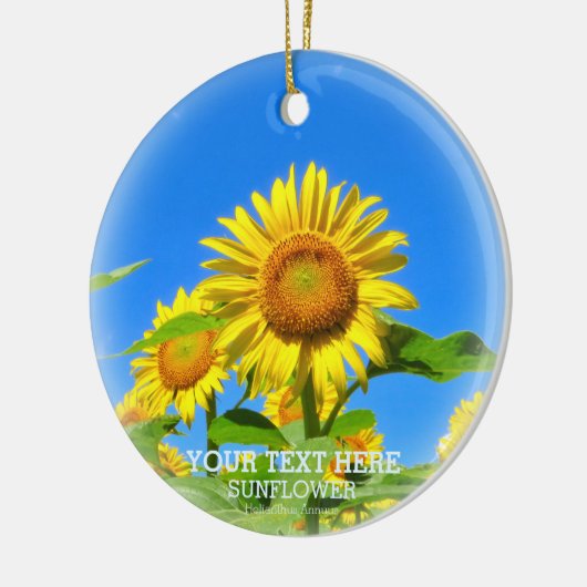 ひまわり KERAMISCH ORNAMENT (Links)