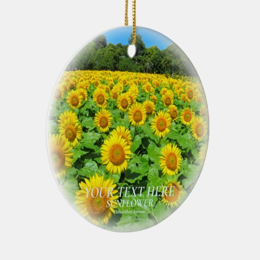 ひまわり KERAMISCH ORNAMENT (Rechts)