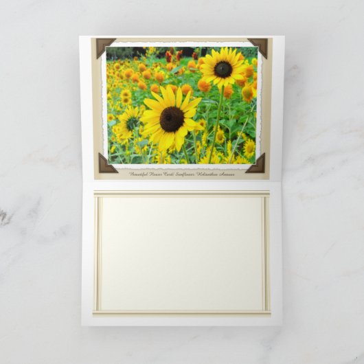 ひ ま わ り KAART (Binnen)