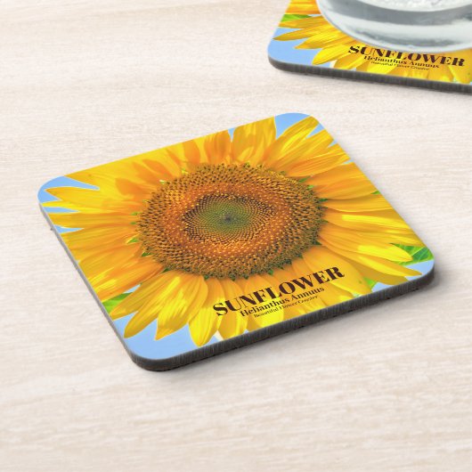 ひ わ り BIER ONDERZETTER (Linkerzijde)