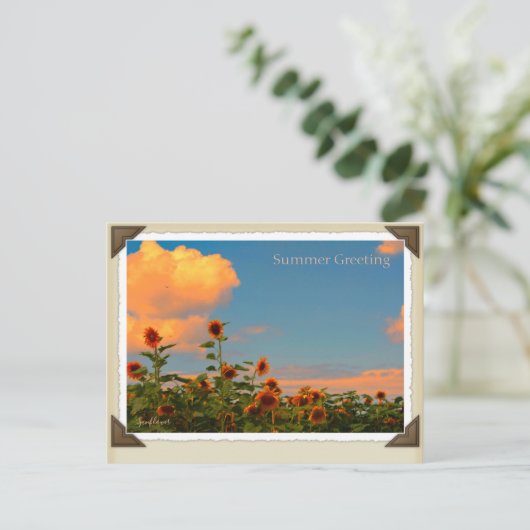 ひ わ り BRIEFKAART (Staand voorkant)