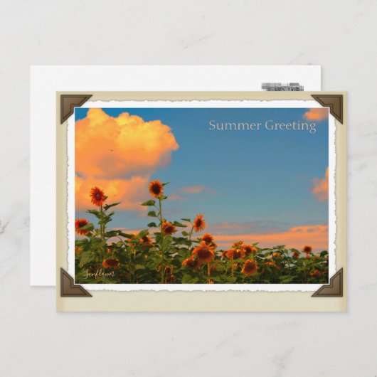 ひ わ り BRIEFKAART (Voorkant / Achterkant)