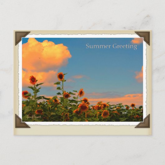 ひ わ り BRIEFKAART (Voorkant)