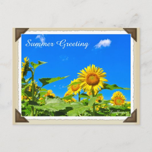 ひ わ り BRIEFKAART (Voorkant)