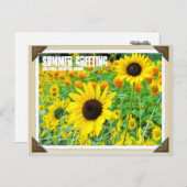 ひ わ り BRIEFKAART (Voorkant / Achterkant)