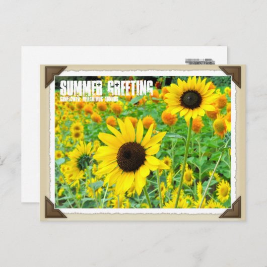 ひ わ り BRIEFKAART (Voorkant / Achterkant)