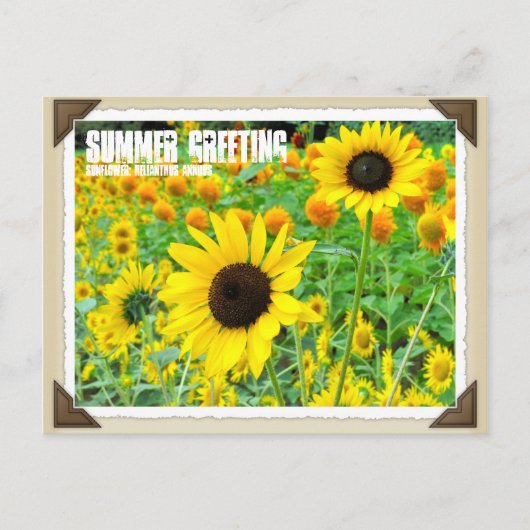 ひ わ り BRIEFKAART (Voorkant)