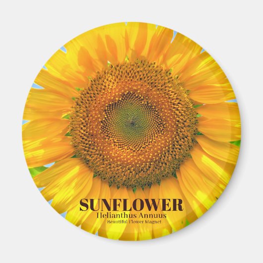 ひ わ り MAGNEET (Voorkant)