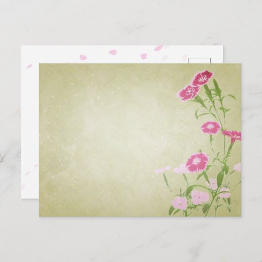 やさしさを届ける＊撫子のポストカード BRIEFKAART (Voorkant / Achterkant)