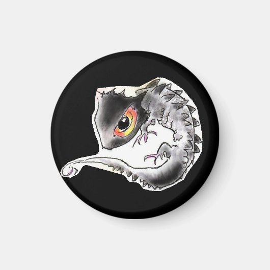 アカメカブトトカゲちゃん MAGNEET (Voorkant)