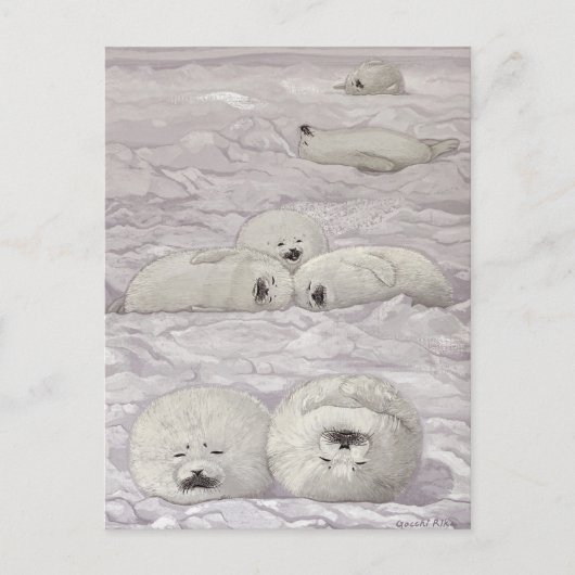 アザラシ四季シリーズ　冬 BRIEFKAART (Voorkant)