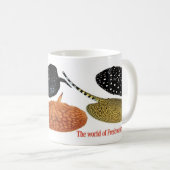 アマゾン淡水エイ KOFFIEMOK (Voorkant rechts)