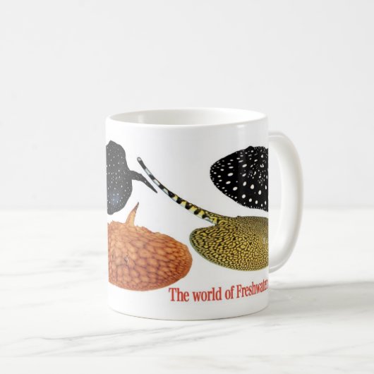 アマゾン淡水エイ KOFFIEMOK (Voorkant rechts)