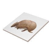 アルマジロ TEGELTJE (Zijkant)