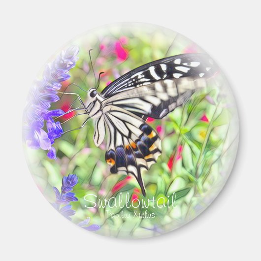 ア ゲ ョ チ ウ  onder ハ magneet (Voorkant)