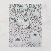 ア ザ 四 シ 季  onder ラ briefkaart (Voorkant)