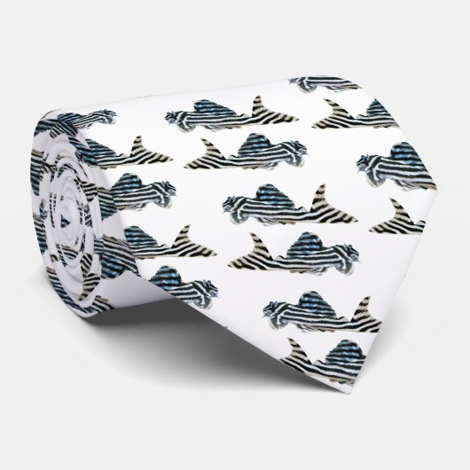 インペリアルゼブラプレコ 2 STROPDAS (Opgerold)